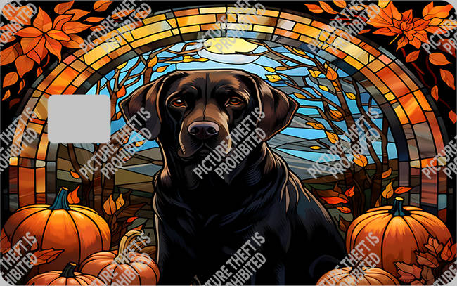 Bank  Card Sticker-BC-1619